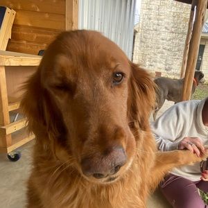 Meet your Posher, Korah beth